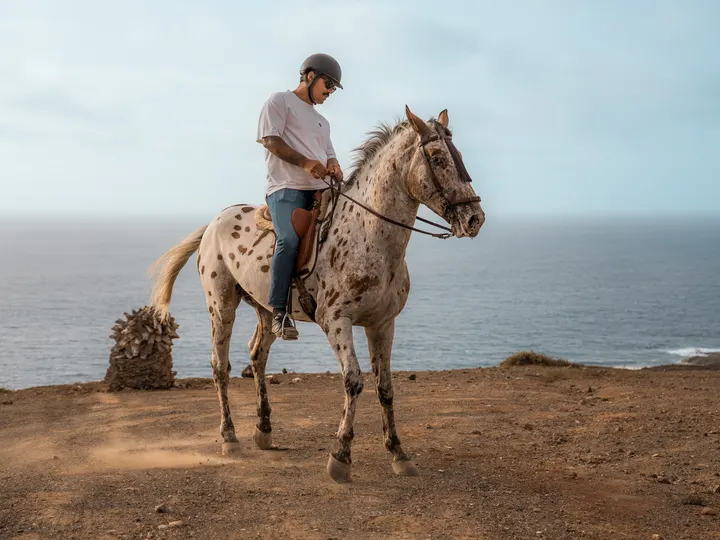 A rider and horse facing the sea